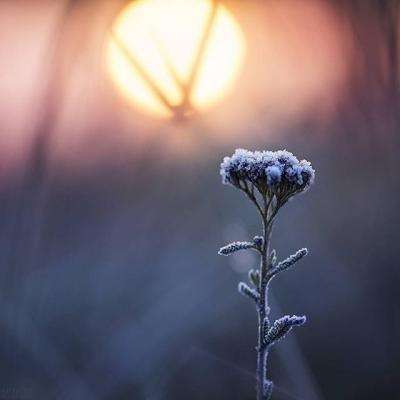 狗万manbetapp下载截图